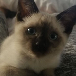 Meet your Posher, Sara